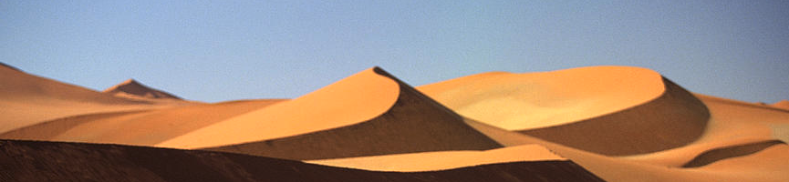 Sandbox
